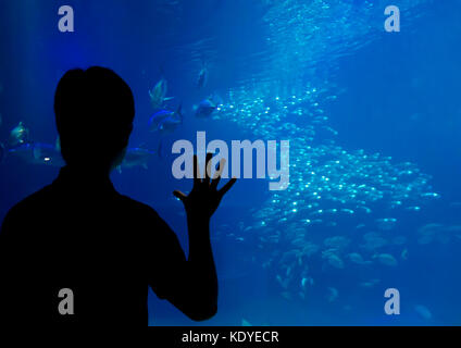 Les visiteurs émerveillés à Osaka Aquarium, un des plus grands aquariums publics, Osaka, Japon Banque D'Images