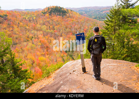 Jeune homme debout à belvédère dans le parc régional de Val David, laurentides, Canada, au cours de couleurs d'automne Banque D'Images