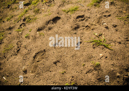 Pieds imprime sur un sable humide, abstract background Banque D'Images