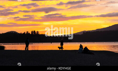 Montagnes Olympiques coucher du soleil, le lac Quinault Banque D'Images