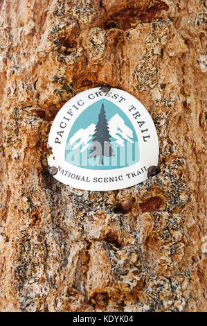 Pacific Crest Trail ou pct marker cloué sur un tronc d'arbre Banque D'Images