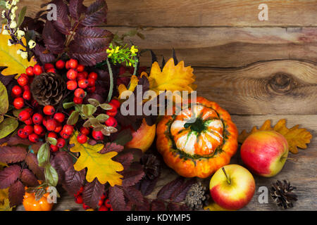 Arrière-plan de l'action de grâce avec rowan berries, Cônes, pommes, citrouilles, Rowan et feuilles de chêne sur la table en bois rustique, copy space Banque D'Images