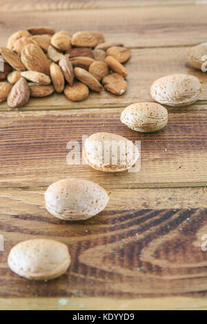 Groupe d'Amandes avec chien Banque D'Images