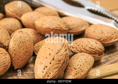 Groupe d'Amandes avec chien Banque D'Images