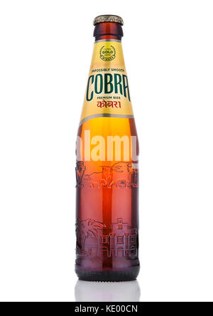 Londres, Royaume-Uni - Octobre 06, 2016 : la bière premium cobra sur un fond blanc, cobra 5,0  % d'une bière est brassée à une authentique recette indienne à l'aide de la fin Banque D'Images