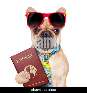 Bulldog fauve avec passeport immigrer ou prêt pour des vacances , isolé sur fond blanc Banque D'Images