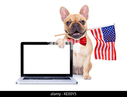 Bouledogue français chien agiter un drapeau de usa le jour de l'indépendance le 4 juillet , isolé sur fond blanc, derrière un écran pc ordinateur vide vide d Banque D'Images