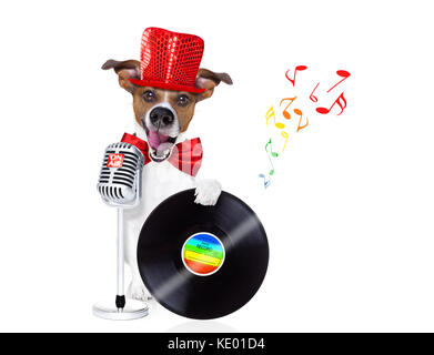 Chien Jack Russell , chantant une chanson karaoké à l'aide d'un microphone ou micro rétro,avec vinyl record en tant que dj, isolé sur fond blanc Banque D'Images