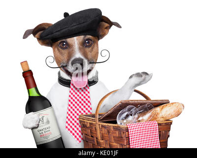 Chien français avec le vin rouge et le panier de pique-nique Banque D'Images