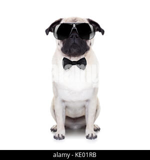 Le PUG dog à la cool avec des lunettes de fantaisie et d'une petite cravate noire Banque D'Images