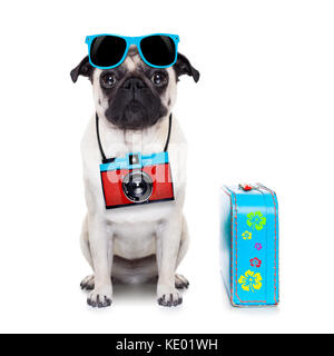 Le PUG dog à la cool avec des lunettes de fantaisie et caméra photo Banque D'Images