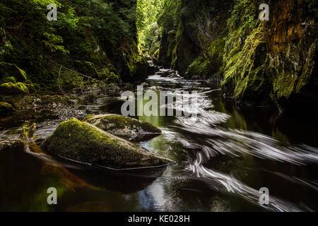 Fairy Glen de cascades et de gorges, rivière Conwy près de Betws y Coed, Pays de Galles, Royaume-Uni Banque D'Images