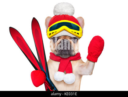 Chien bouledogue français fauve avec équipement de ski, portant ces lunettes , gants , un chapeau et une écharpe rouge, isolé sur fond blanc Banque D'Images