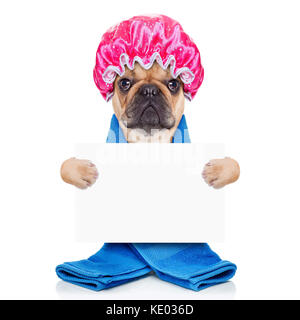 Bouledogue français chien ayant un spa ou un soin de bien-être avec douche cap holding a white blank banner ou la plaque , isolé sur fond blanc Banque D'Images