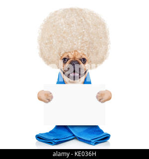 Bouledogue français chien ayant un spa ou un soin de bien-être avec de grands cheveux blonds tenant une bannière blanc vide ou la plaque ,isolé sur fond blanc Banque D'Images