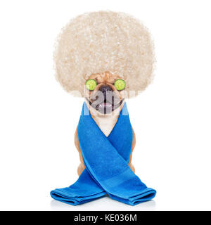 Bouledogue français chien ayant un spa ou un soin de bien-être avec de grands cheveux blonds et de concombre sur les yeux, isolé sur fond blanc Banque D'Images