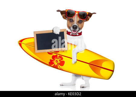 Silly funny cool chien surfeur holding fancy surf board et vide vide placard ou un tableau noir, isolé sur fond blanc Banque D'Images