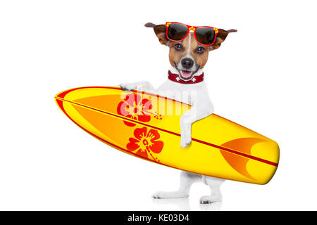 Silly funny cool chien surfeur holding fancy surf board , isolé sur fond blanc Banque D'Images