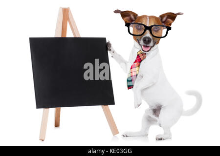 Chien Jack Russell comme businessman ou patron, holding a blank blackboard et vides , isolé sur fond blanc Banque D'Images