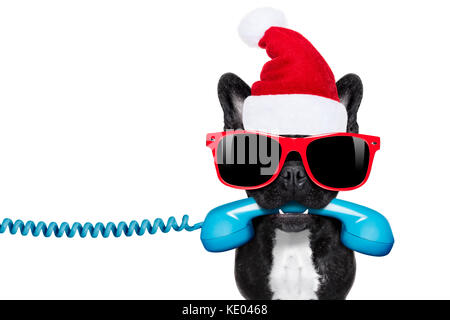 Bouledogue français chien avec red christmas santa claus hat pour xmas holidays appelant au téléphone ou téléphone Banque D'Images