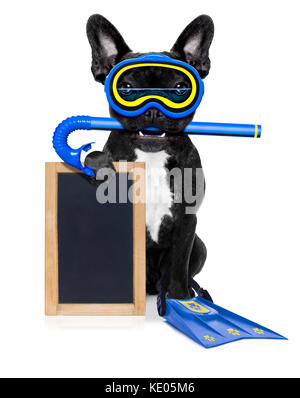 La plongée avec tuba Bouledogue français chien avec masque et palmes , holding blank blackboard ou placard, isolé sur fond blanc Banque D'Images