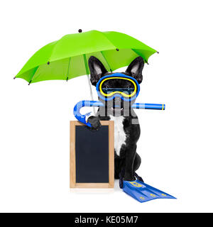 La plongée avec tuba Bouledogue français chien avec masque et palmes , holding blank blackboard ou placard, isolé sur fond blanc avec parapluie Banque D'Images