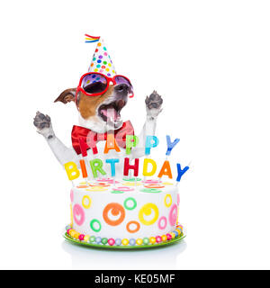 Chien Jack Russell comme une surprise, le chant chanson d'anniversaire , Gâteau rigolo derrière, portant cravate rouge et party hat , isolé sur fond blanc Banque D'Images