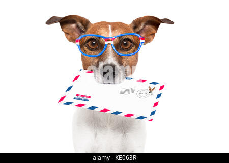 Chien avec des lunettes offrant air mail enveloppe avec stamp Banque D'Images