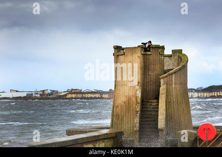 Saltcoats, Ayrshire, UK. 17 Oct, 2017. La vie est de retour à la normale le jour après l'ouragan Ophelia a frappé la côte ouest de l'Ecosse avec des rafales jusqu'à 80 mi/h et que les vents continuent de causer de hautes vagues et des conditions de tempête. Les sections locales dans la région de Saltcoats, Ayrshire prendre à la côte d'oiseaux pour LEACH DES PÉTRELS qui ont été soufflées dans la région par l'ouragan Crédit : Findlay/Alamy Live News Banque D'Images