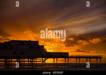 Pays de Galles Aberystwyth uk, le mardi 17 octobre 2017 météo Royaume-Uni : des milliers d'étourneaux volent en se percher avec belle et dramatique ciel rouge au coucher du soleil au-dessus de la station balnéaire d'Aberystwyth royal pier sur la côte ouest de la baie de Cardigan au Pays de Galles Crédit photo : Keith morris/Alamy live news Banque D'Images