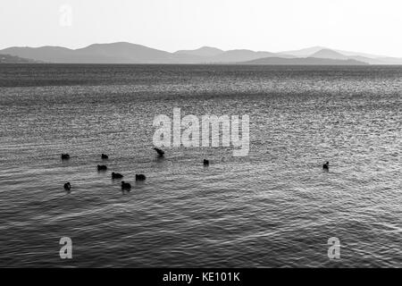 Un lac au coucher du soleil, avec quelques canards sur l'eau et les collines au loin et des tons doux à la distance Banque D'Images