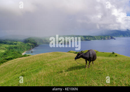 L'île de batan à Marlboro hills , batanes, philippines Banque D'Images