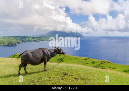 L'île de batan à Marlboro hills , batanes, philippines Banque D'Images