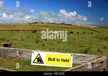 Avis sur l'avertissement de bull lézard, Cornwall. Banque D'Images