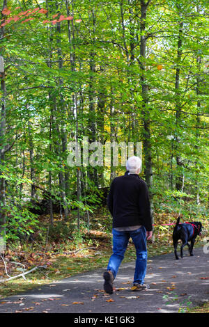 Un homme promène son chien sur un chemin dans la forêt en octobre dans le Michigan Banque D'Images