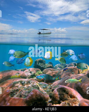 Image fractionnée avec un bateau au-dessus de la surface de l'eau et une barrière de corail avec un banc de poissons tropicaux sous l'eau, mer des Caraïbes Banque D'Images