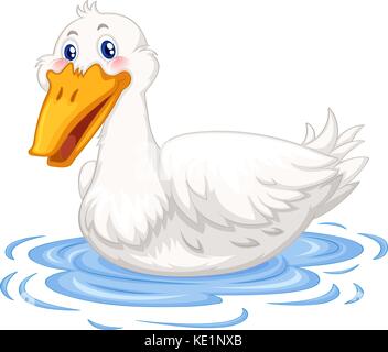La natation dans l'étang de canard illustration Illustration de Vecteur