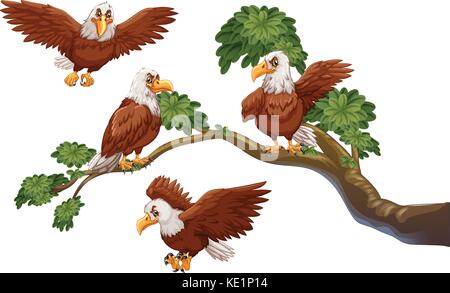 Quatre aigles sur l'illustration de la direction générale Illustration de Vecteur