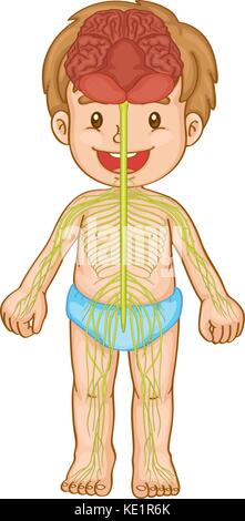 Petit garçon avec illustration du système nerveux Illustration de Vecteur