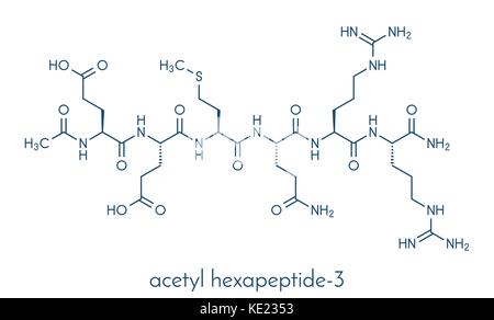 Hexapeptide acétyl-3 (argireline) molécule. fragment peptidique de la SNAP-25. utilisé en cosmétique pour traiter les rides. formule topologique. Illustration de Vecteur