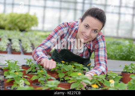 Happy woman les fleuristes, en collaboration avec fleurs dans les émissions de Banque D'Images