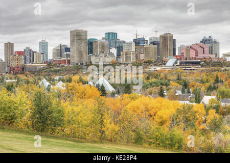Un paysage urbain d'edmonton avec aspen colorés en automne Banque D'Images