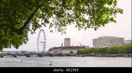 Vue panoramique sur le London Eye et les bâtiments de l'autre côté de la Tamise depuis Victoria Tower Gardens, Londres. Banque D'Images