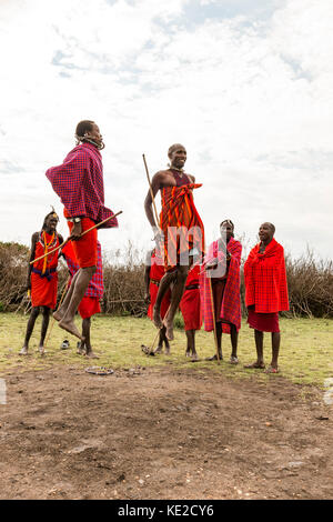 Les hommes de Maasai dansant et sautant à Masai Mara, Kenya Banque D'Images
