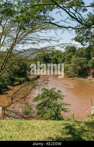 Rivière Mara dans le Masai Mara, Kenya Banque D'Images