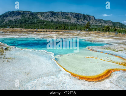 22 août 2017 - Les dépôts de minéraux s'éloignant de la piscine saphir en biscuit basin à Yellowstone National Park Banque D'Images