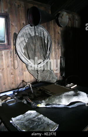 Manchot Empereur sur une table de dissection dans le capitaine Scott's hut à mcmurdo, en Antarctique. Banque D'Images