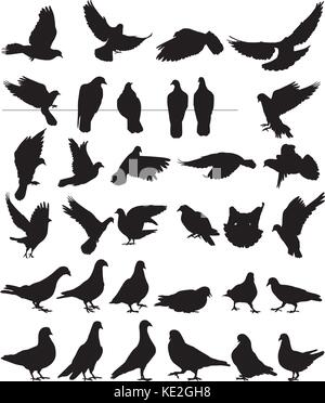 Silhouettes vecteur colombes bird Illustration de Vecteur