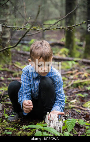 Finlande, Minnesota - Un garçon regarde la pipe indienne (Monotropa uniflora) dans les bois du nord du Minnesota. Banque D'Images