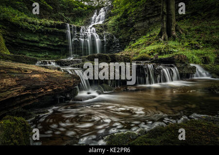 Scaleber vigueur Cascade dans le parc national de Yorkshire, Yorkshire, Angleterre, Royaume-Uni Banque D'Images